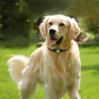 Universal Z8-A Pet Tracker GPS Dog/Cat Collar Water-resistant USB Charging Callback Remote Listening 43-58cm Adjustable collar