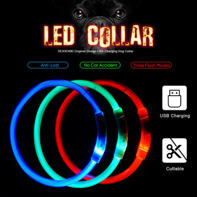 USB Charging Pet Dog Collar Rechargeable LED Tube Flashing Night Dog Collars Luminous Safety Puppy Cat Collar With Battery