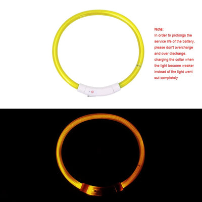 USB Charging Pet Dog Collar Rechargeable LED Tube Flashing Night Dog Collars Luminous Safety Puppy Cat Collar With Battery